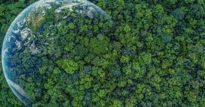 Terra circondata dalla natura